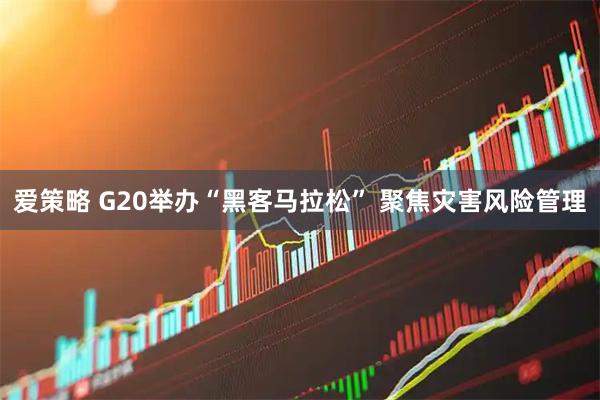 爱策略 G20举办“黑客马拉松” 聚焦灾害风险管理
