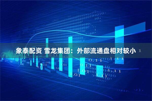 象泰配资 雪龙集团：外部流通盘相对较小