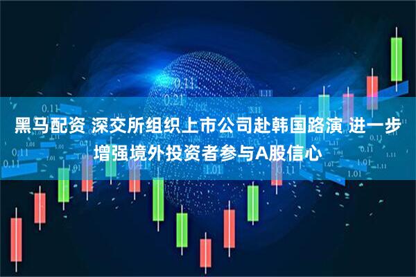 黑马配资 深交所组织上市公司赴韩国路演 进一步增强境外投资者参与A股信心