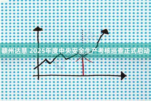 赣州达慧 2025年度中央安全生产考核巡查正式启动