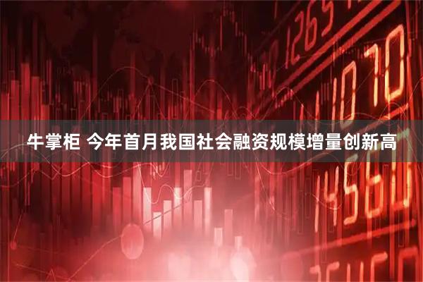 牛掌柜 今年首月我国社会融资规模增量创新高