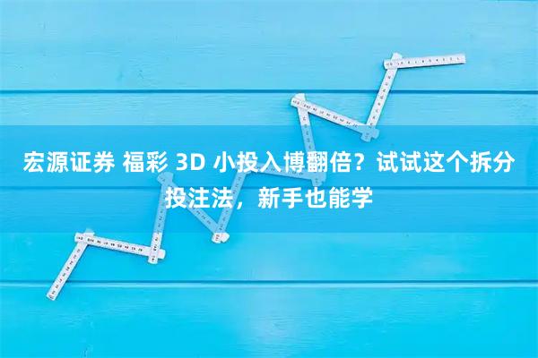 宏源证券 福彩 3D 小投入博翻倍？试试这个拆分投注法，新手也能学